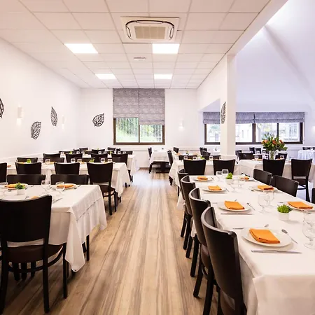 Helianthe Otel Lourdes
