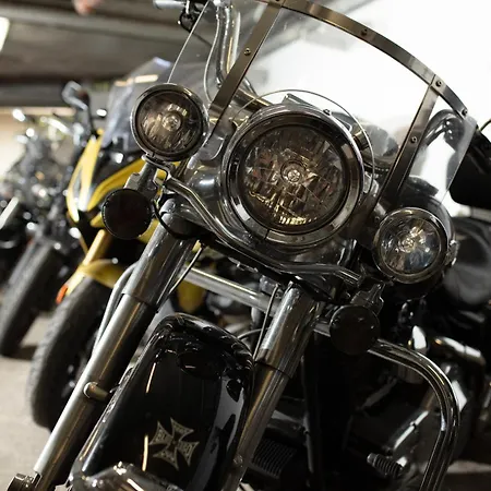 Helianthe 3* Lourdes